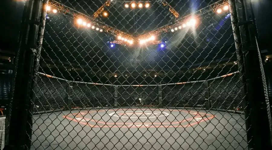 Snai scommesse mma